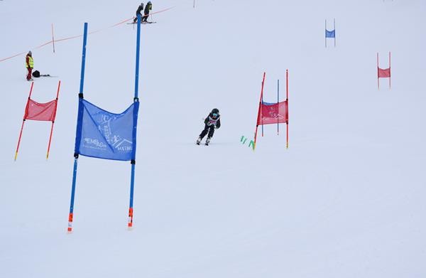 Normal x DSC 0835 (2)